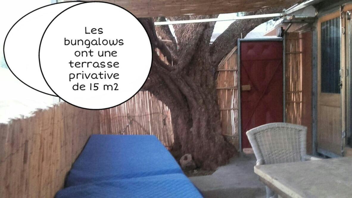 Gite Village Paradise Valley Tagherat Anekrim 客房 照片